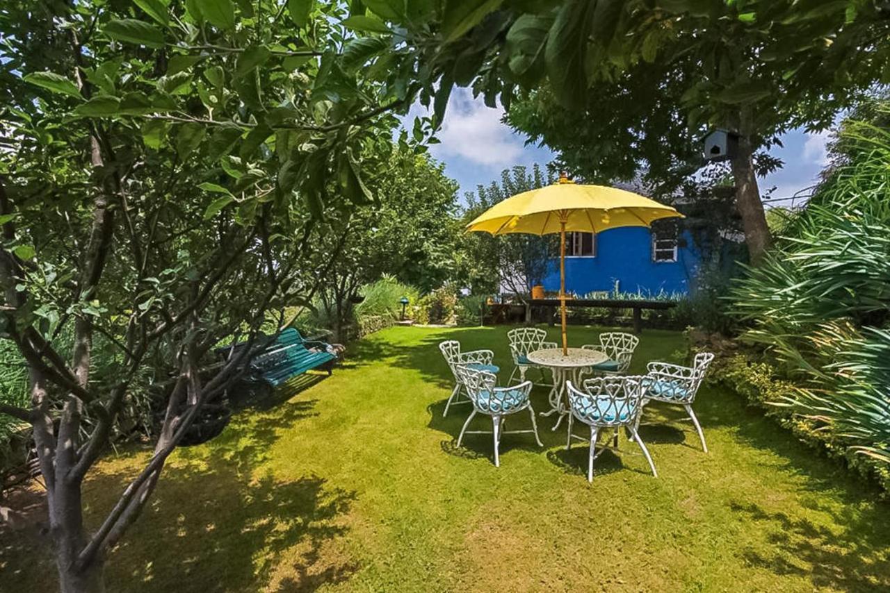 Stayvista At Violet Hill With Bonfire, Gazebo & Hill View Shimla Luaran gambar
