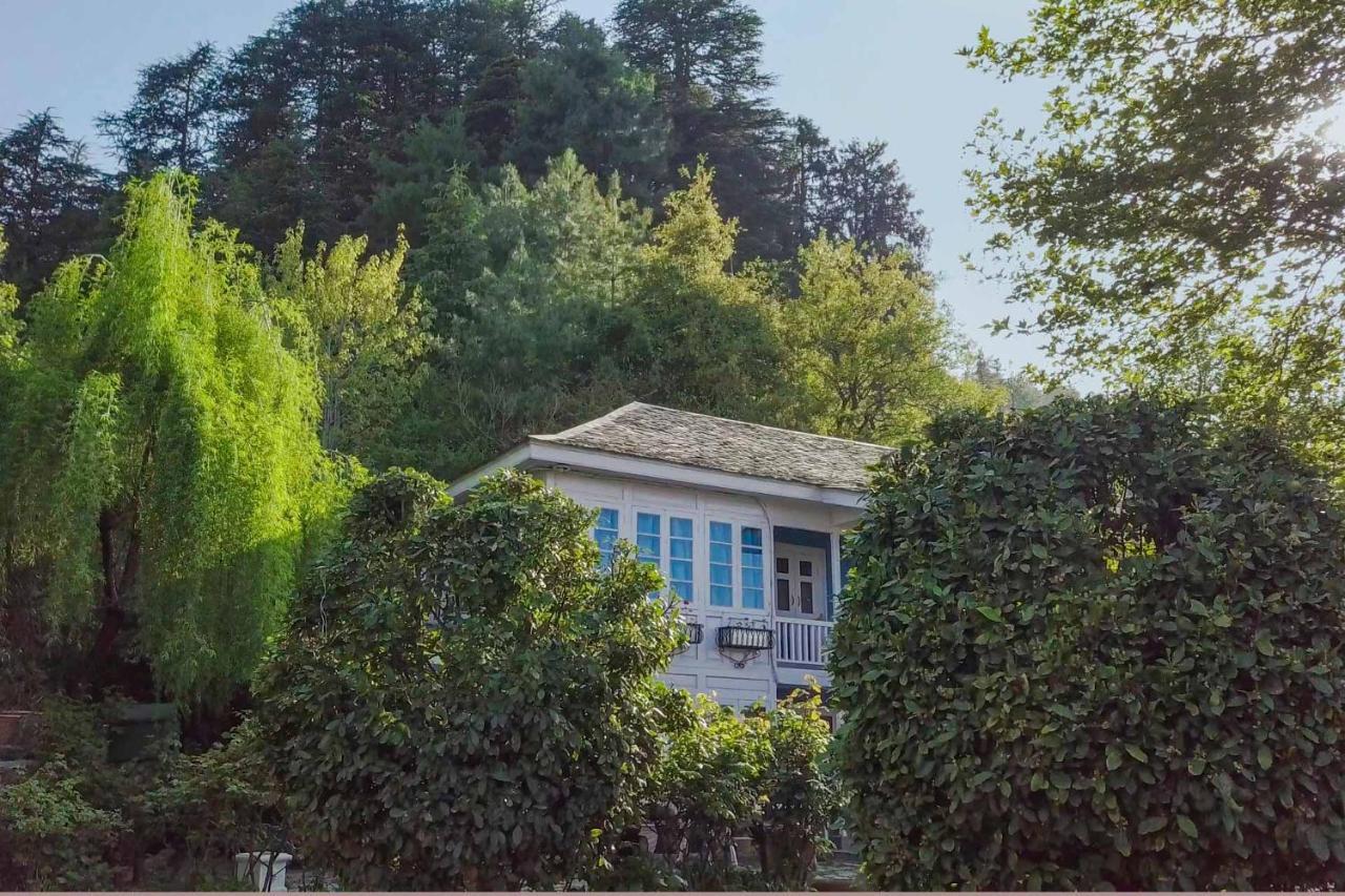 Stayvista At Violet Hill With Bonfire, Gazebo & Hill View Shimla Luaran gambar